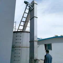 河北唐山石油焦TD250膠帶斗提機