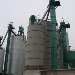 內蒙古石灰石項目NE100板鏈斗式提升機